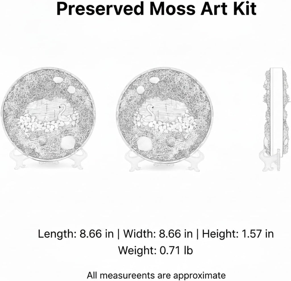 DIY Preserved Moss Art Kit with Bamboo Frame